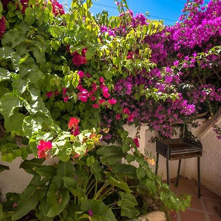 Pinos 2 Apartman Nerja Kültér fotó